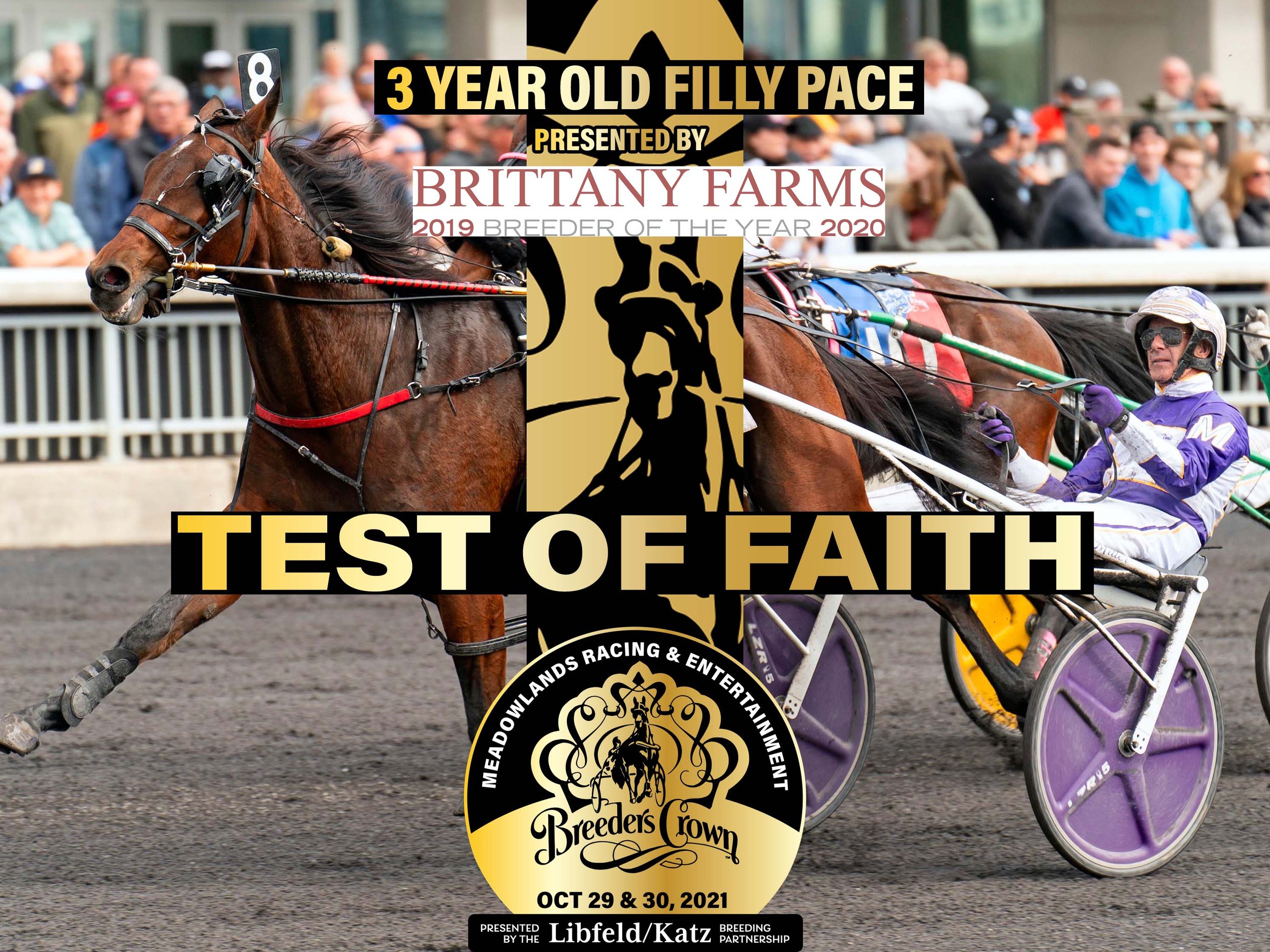 Test Of Faith - 3FP — Hambletonian Society
